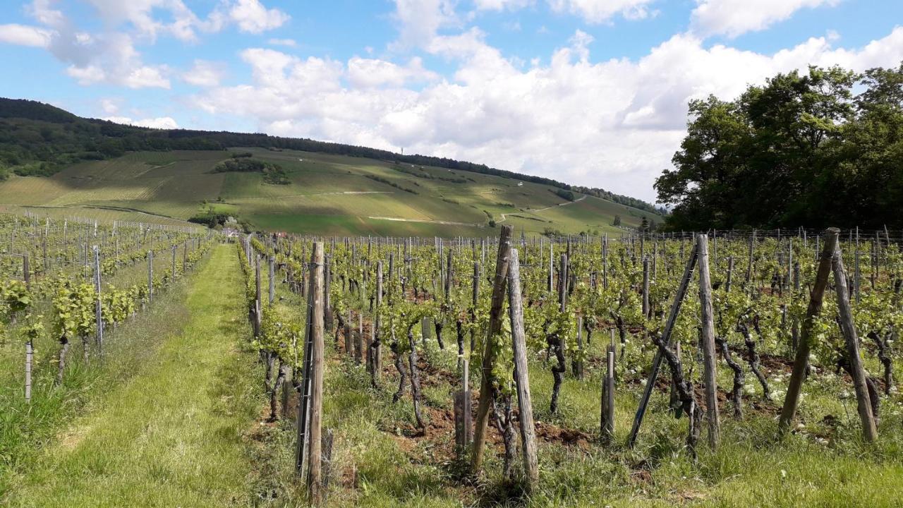 Villa/Appartement Au Coeur Des Vignes *** Бар Екстериор снимка