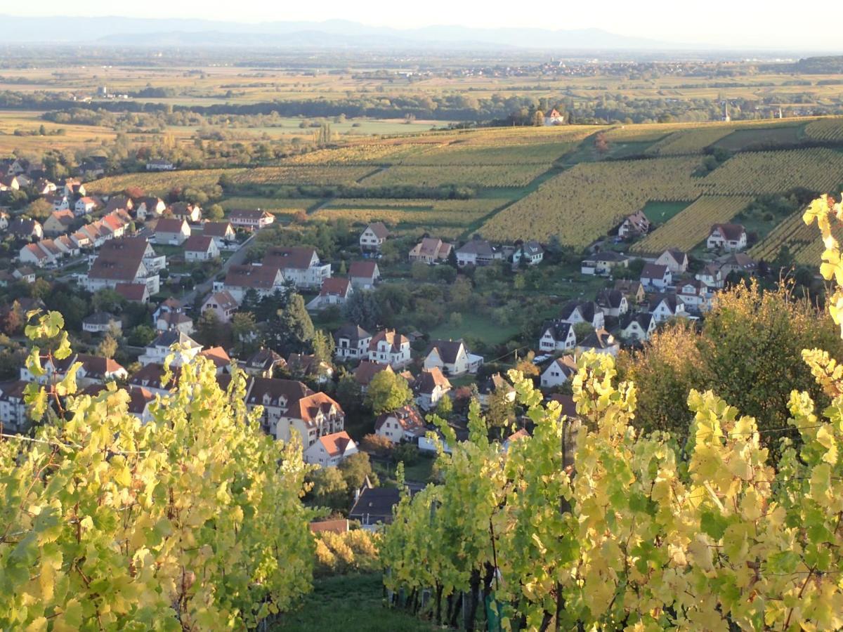 Villa/Appartement Au Coeur Des Vignes *** Бар Екстериор снимка