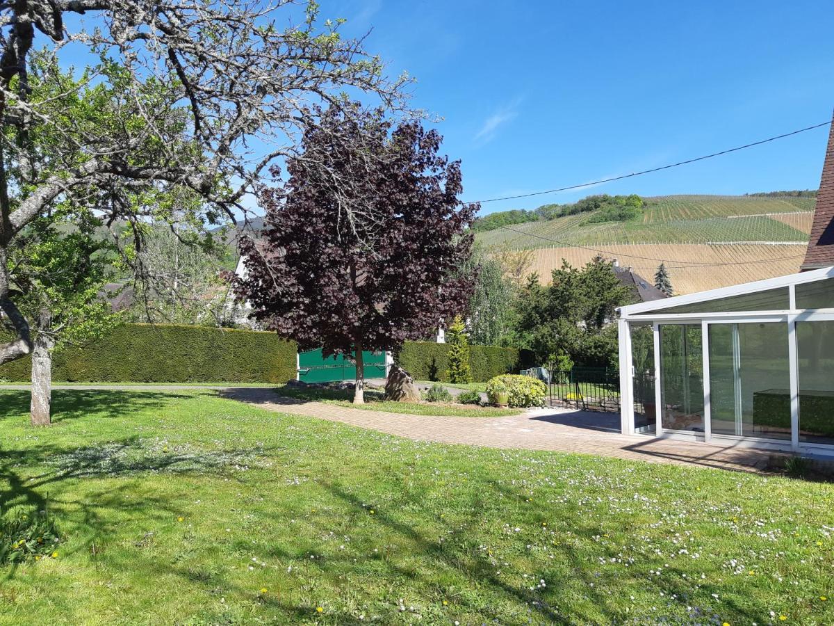 Villa/Appartement Au Coeur Des Vignes *** Бар Екстериор снимка